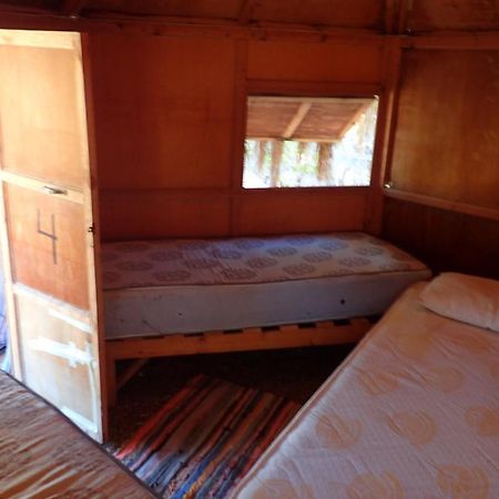 Bedouin Star Hotel ตาบา ภายนอก รูปภาพ