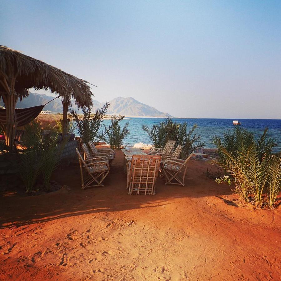 Bedouin Star Hotel ตาบา ภายนอก รูปภาพ