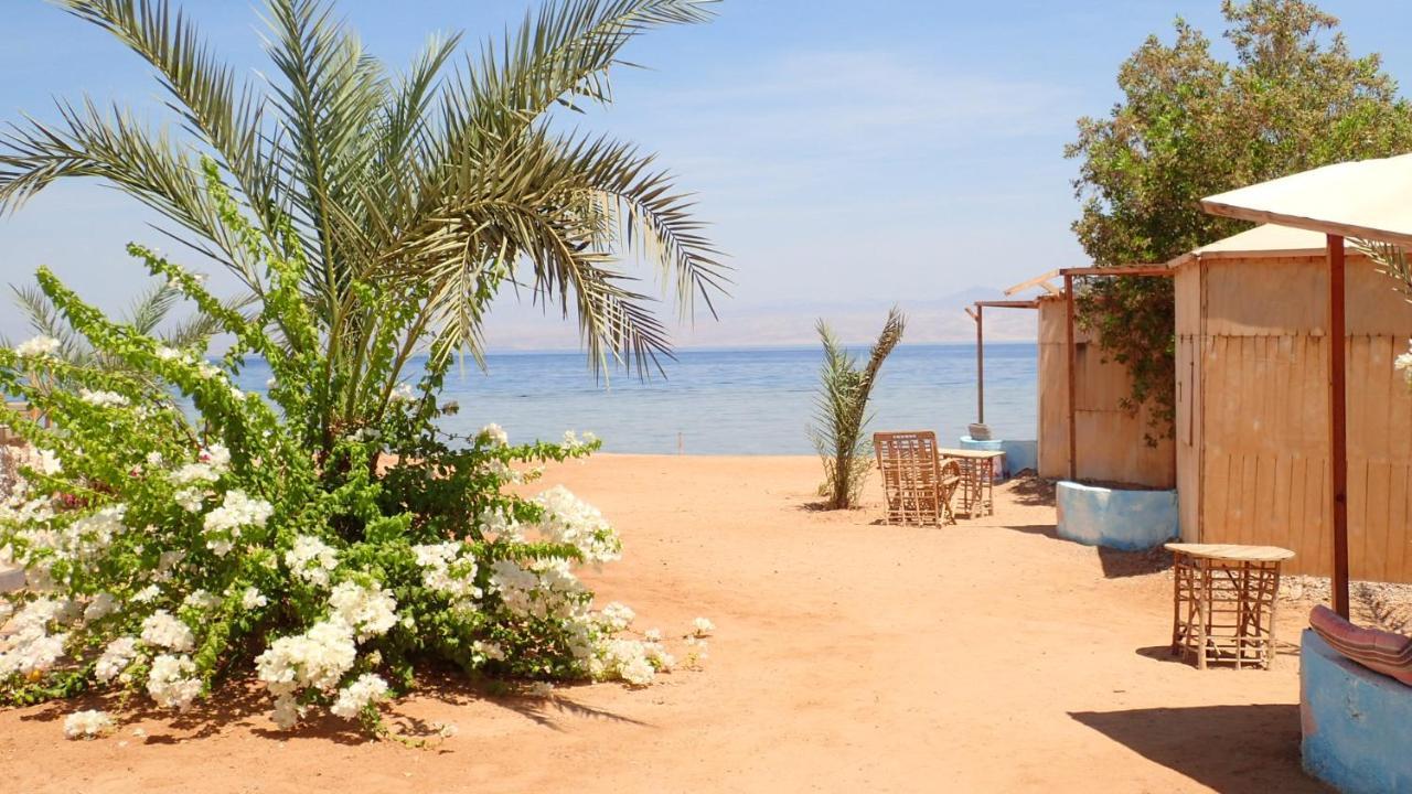 Bedouin Star Hotel ตาบา ภายนอก รูปภาพ