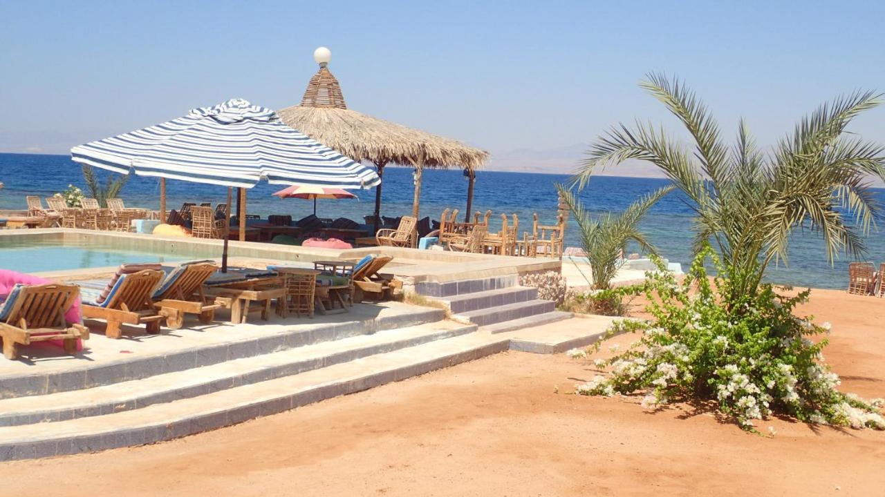 Bedouin Star Hotel ตาบา ภายนอก รูปภาพ