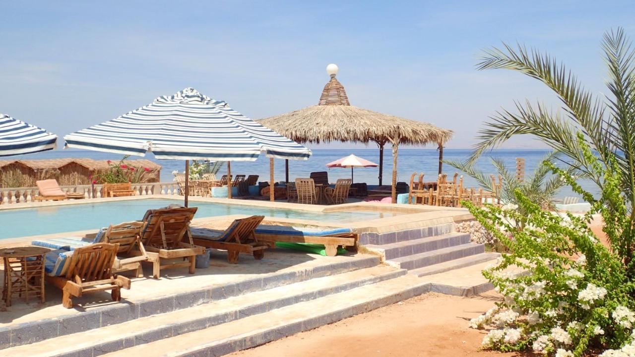 Bedouin Star Hotel ตาบา ภายนอก รูปภาพ
