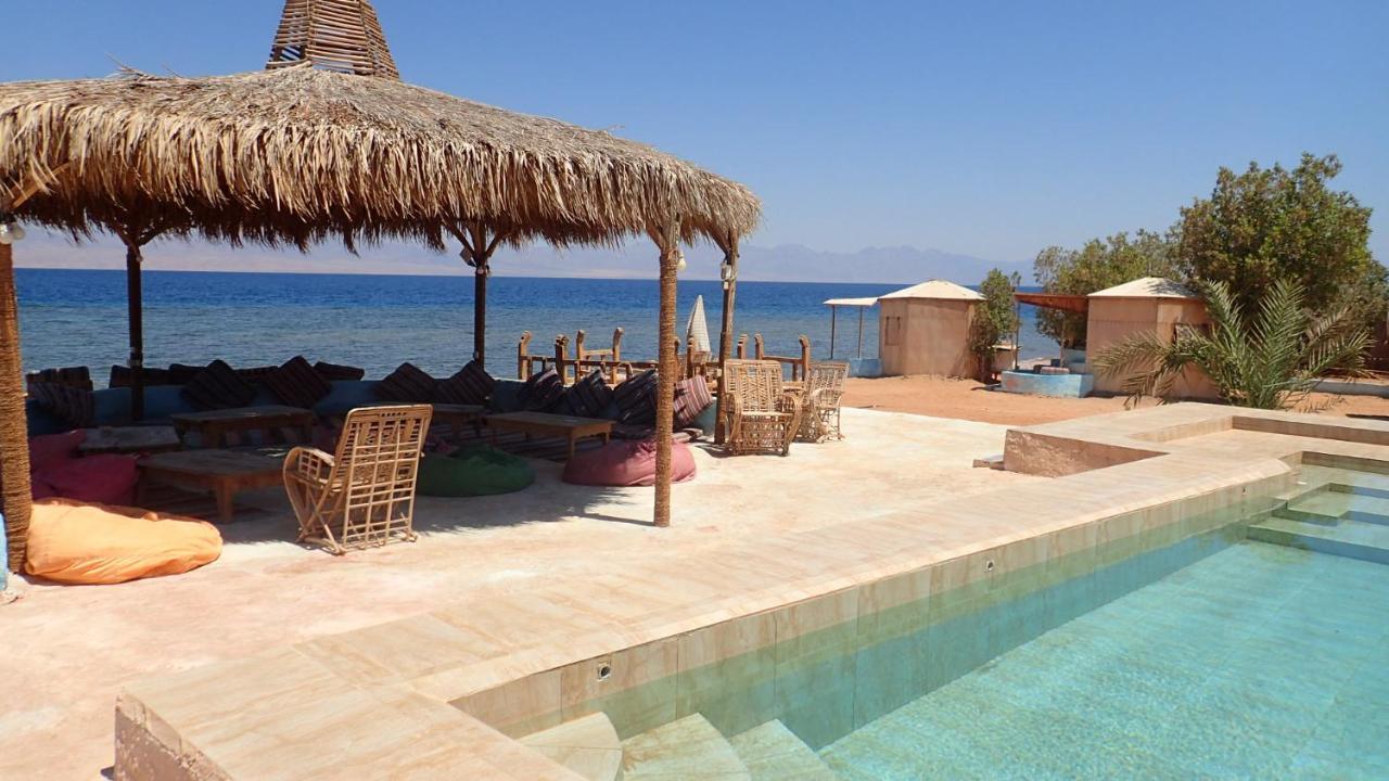 Bedouin Star Hotel ตาบา ภายนอก รูปภาพ