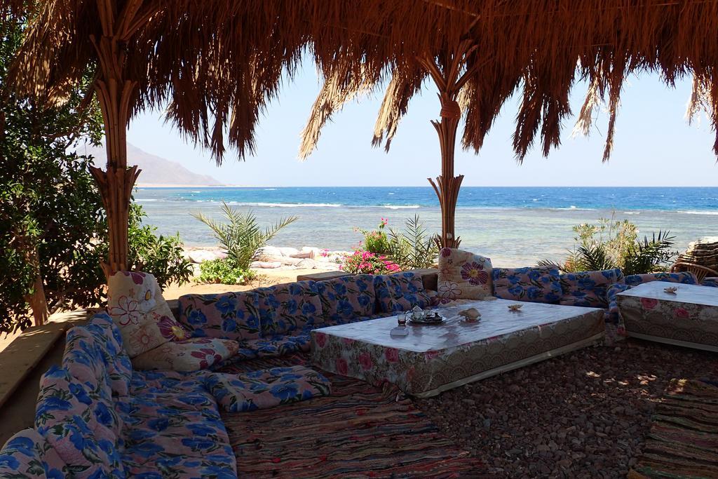 Bedouin Star Hotel ตาบา ภายนอก รูปภาพ