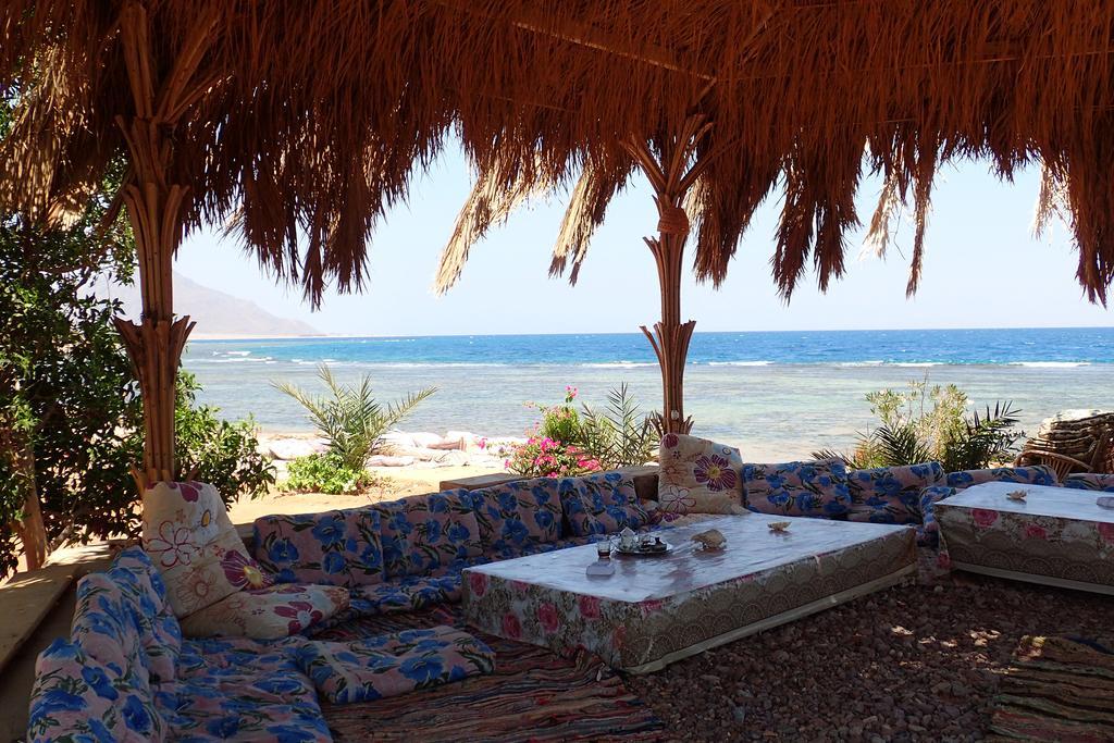 Bedouin Star Hotel ตาบา ภายนอก รูปภาพ