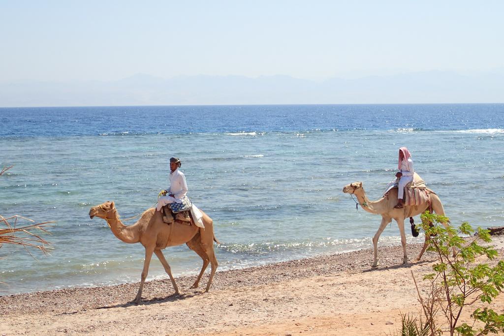 Bedouin Star Hotel ตาบา ภายนอก รูปภาพ