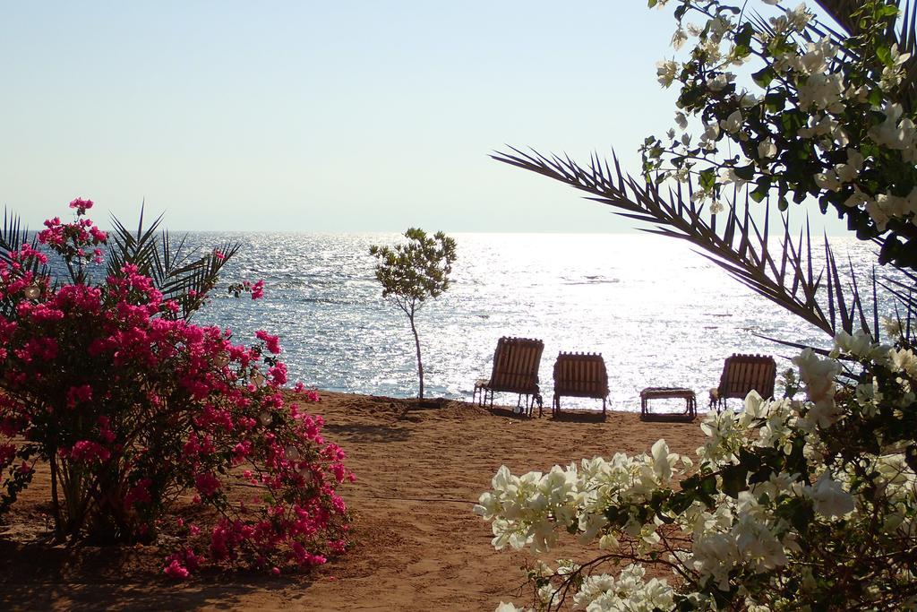 Bedouin Star Hotel ตาบา ภายนอก รูปภาพ