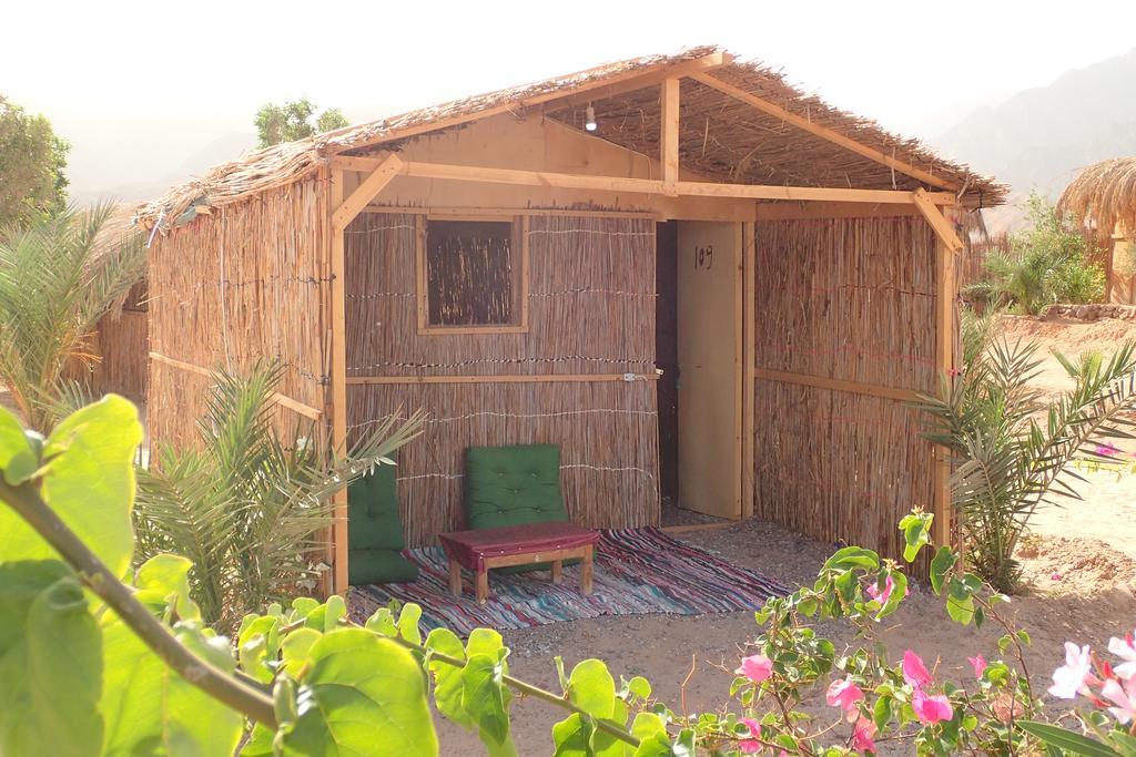 Bedouin Star Hotel ตาบา ภายนอก รูปภาพ