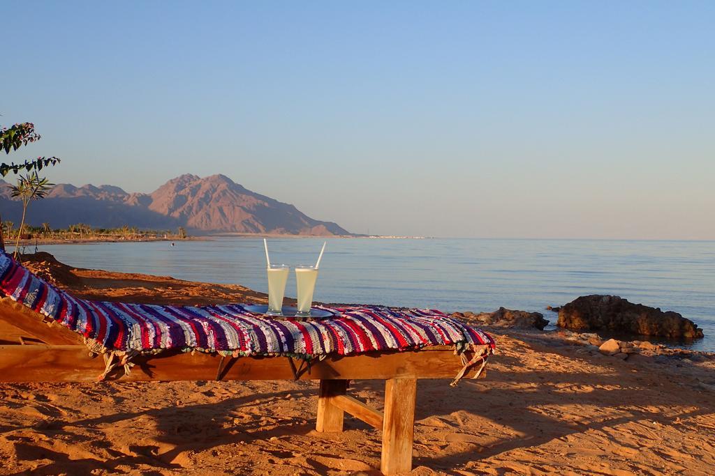 Bedouin Star Hotel ตาบา ภายนอก รูปภาพ