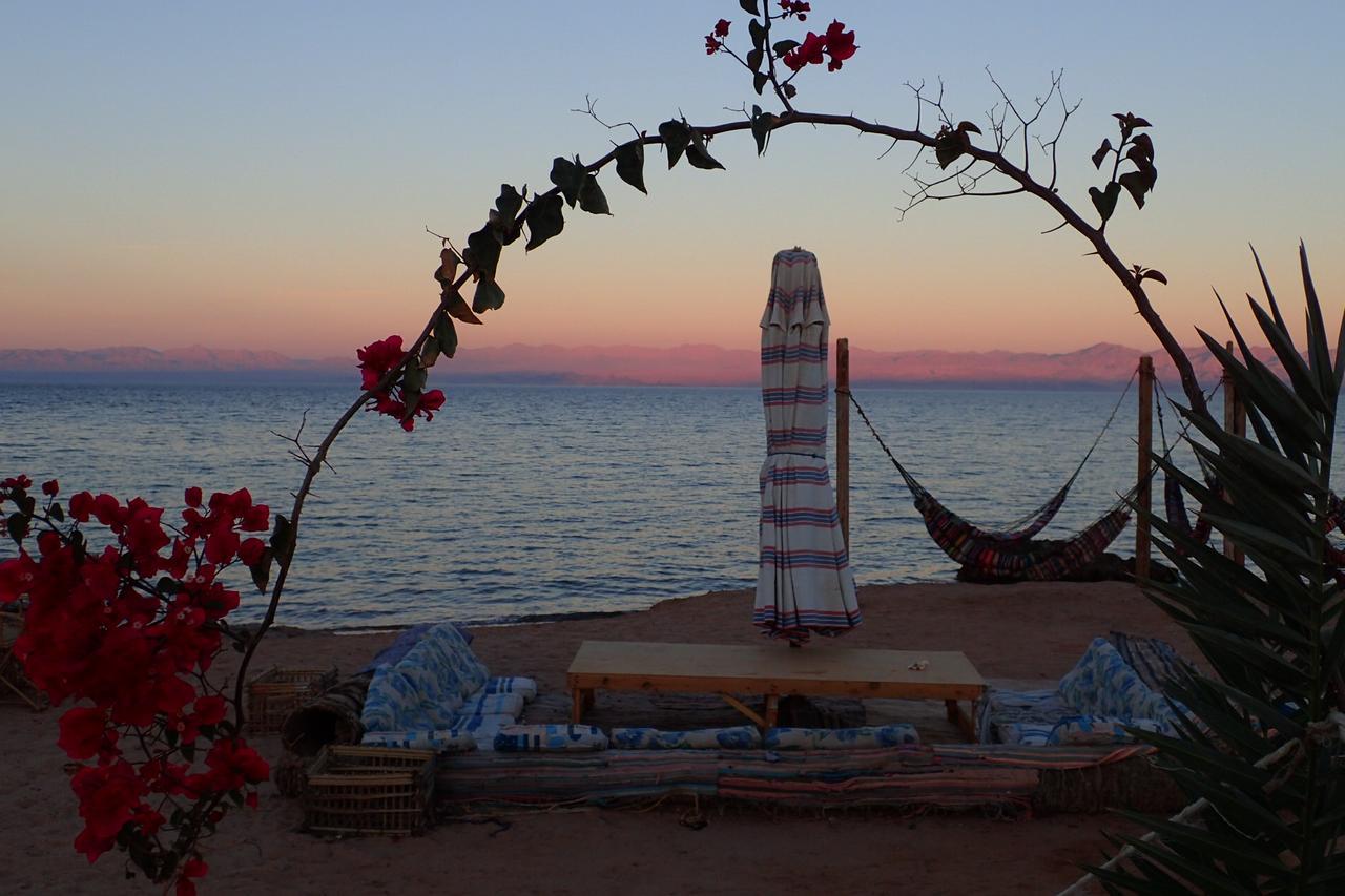 Bedouin Star Hotel ตาบา ภายนอก รูปภาพ