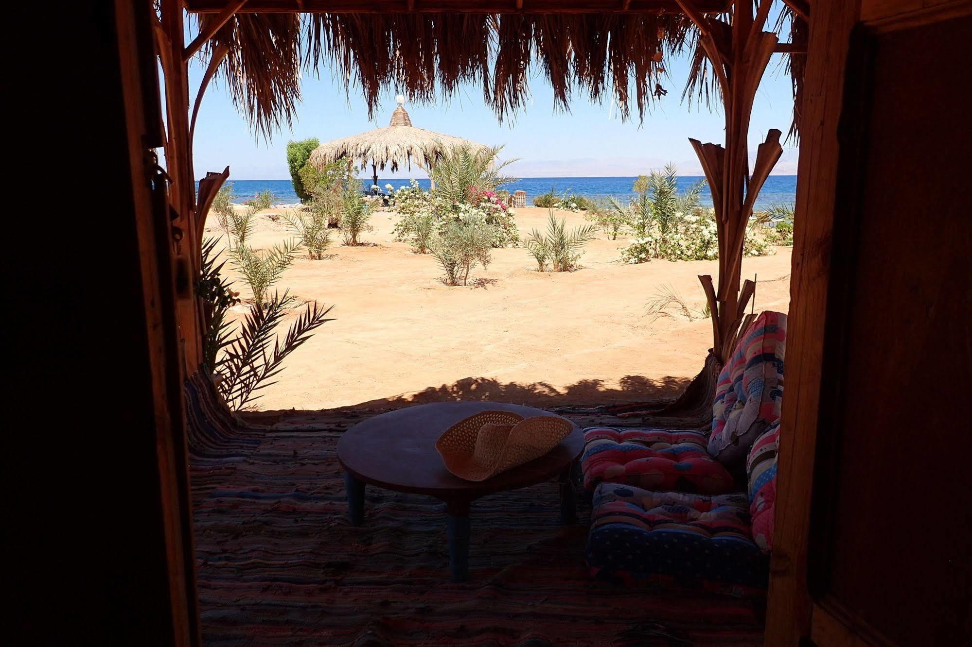 Bedouin Star Hotel ตาบา ภายนอก รูปภาพ