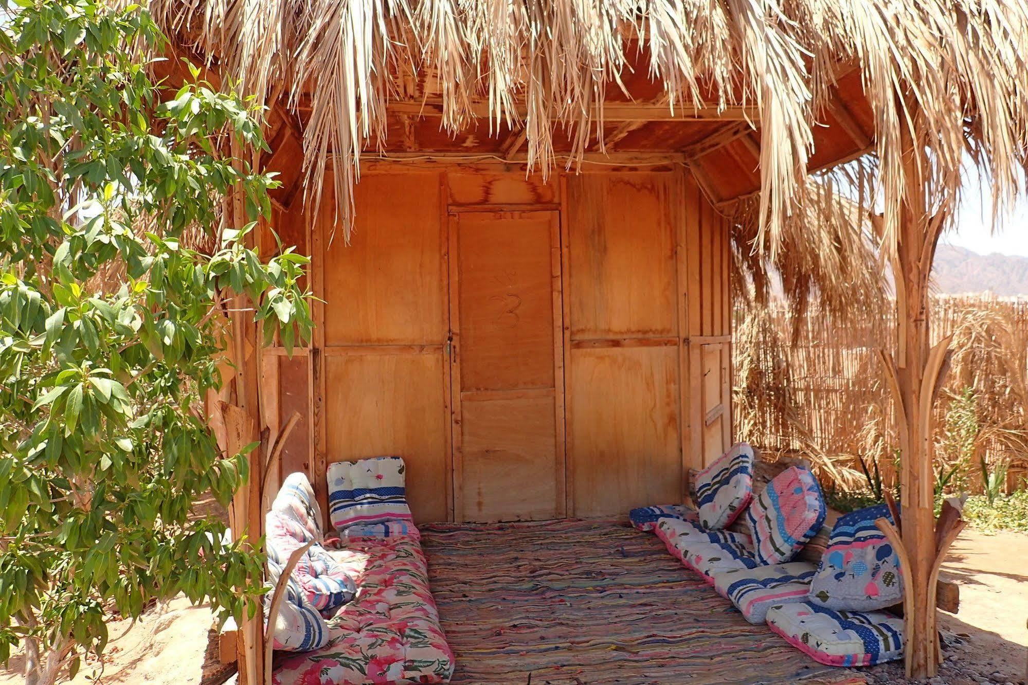 Bedouin Star Hotel ตาบา ภายนอก รูปภาพ