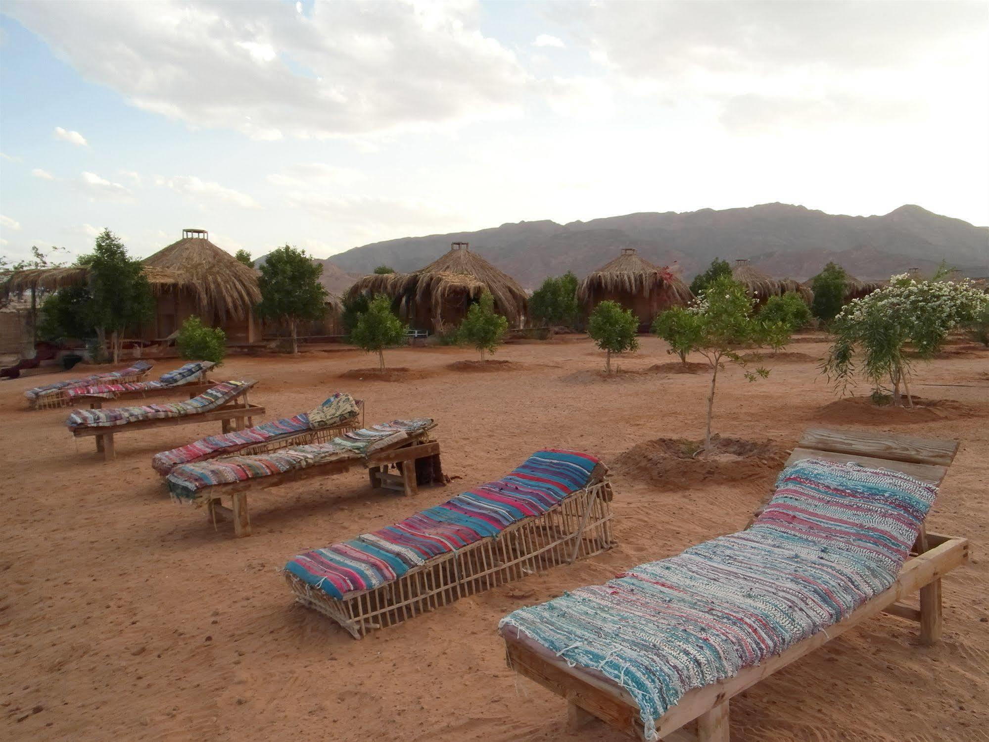 Bedouin Star Hotel ตาบา ภายนอก รูปภาพ