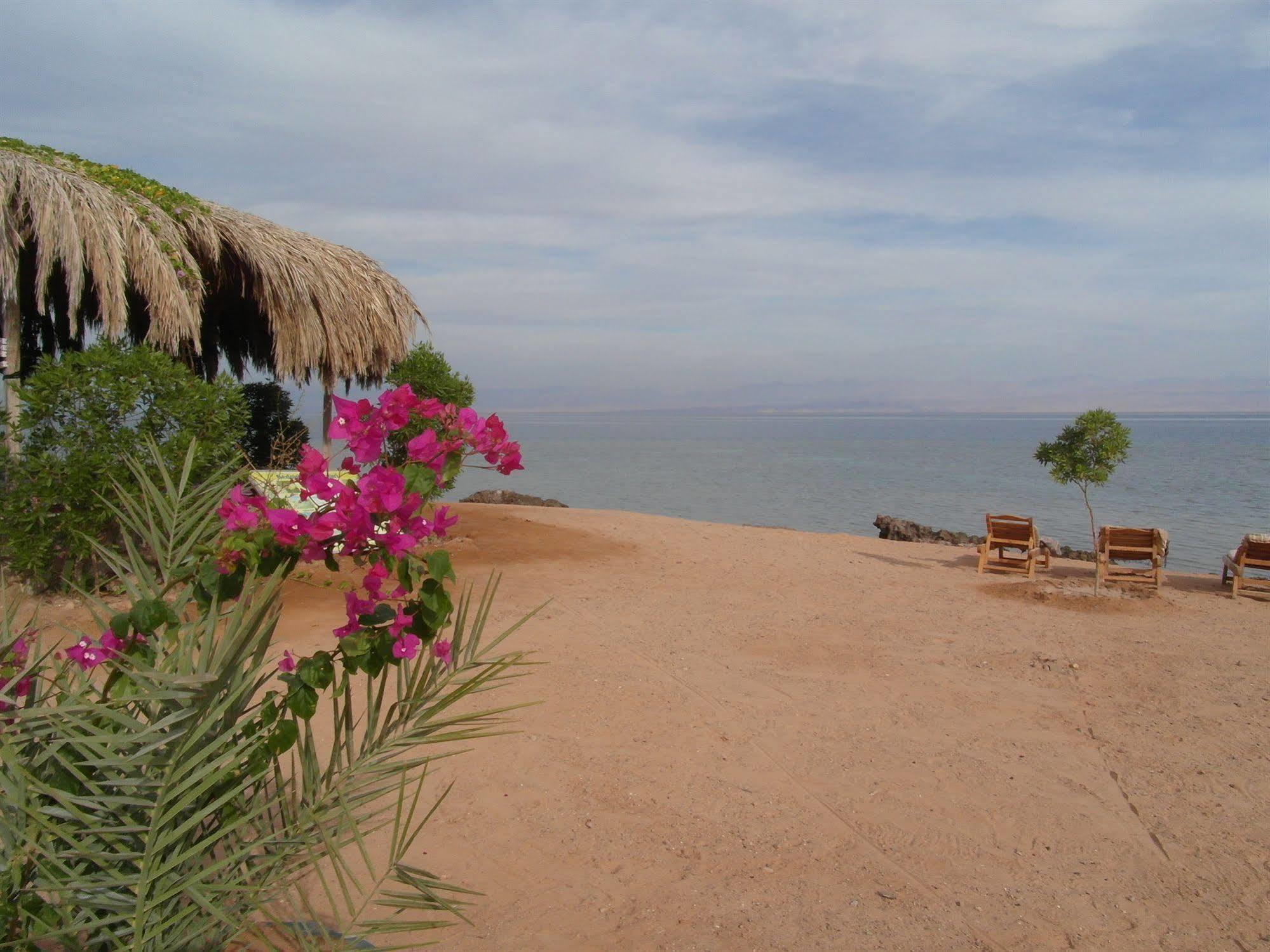 Bedouin Star Hotel ตาบา ภายนอก รูปภาพ