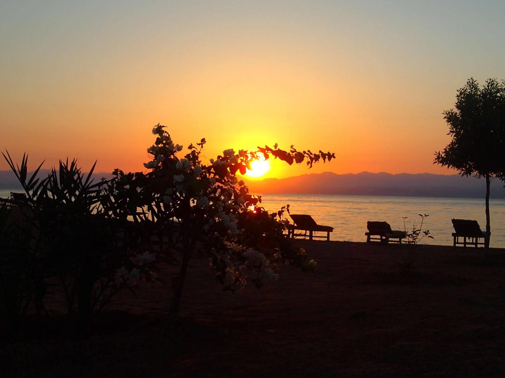 Bedouin Star Hotel ตาบา ภายนอก รูปภาพ