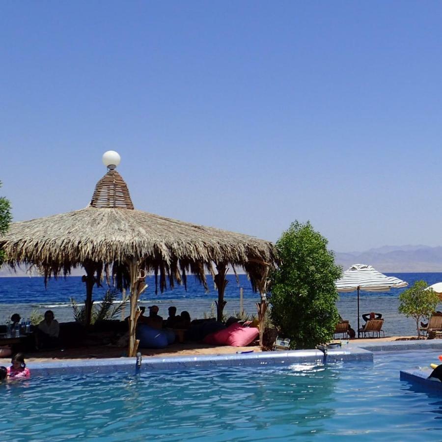 Bedouin Star Hotel ตาบา ภายนอก รูปภาพ